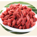 100% natural fresh goji berries factory supply goji berry